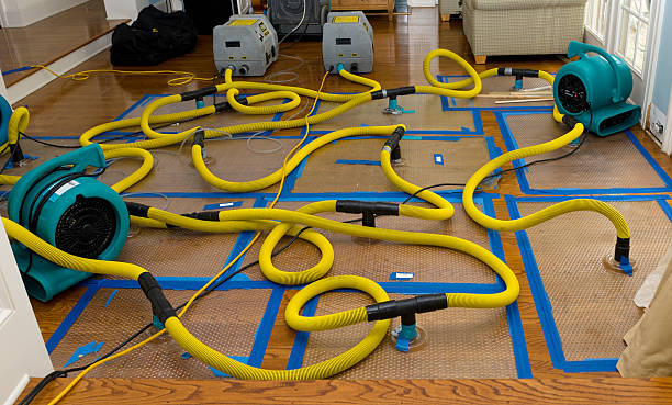 Professional Burst Pipe Water Damage technician working in Searsmont, ME